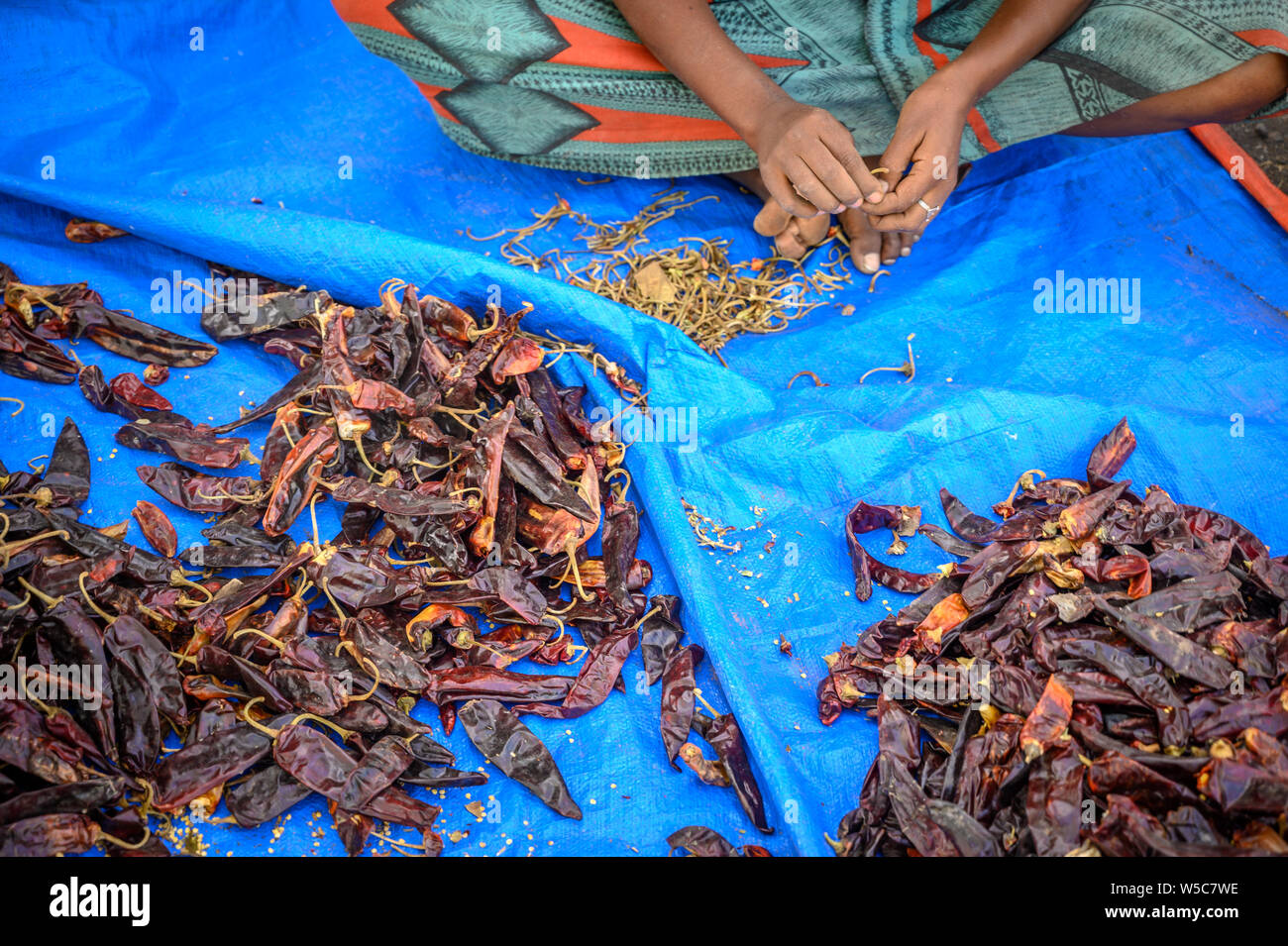 Chili production hires stock photography and images Alamy