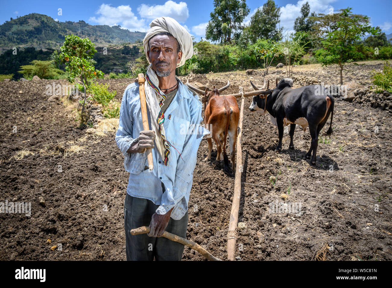 portrait-of-an-ethiopian-farmer-debre-berhan-ethiopia-stock-photo-alamy