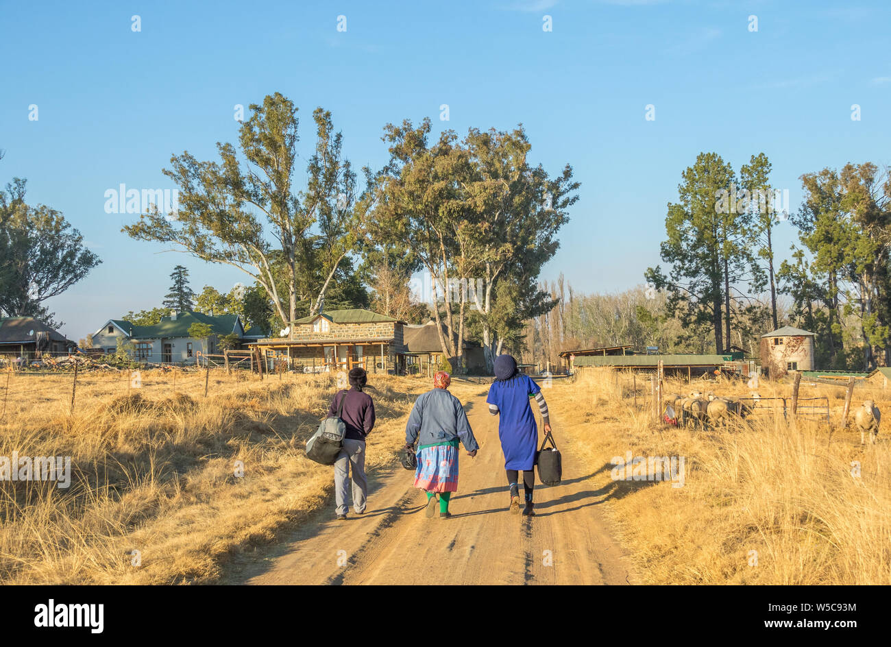 Bergville, South Africa - unidentified black women farm workers walk along a dirt road to their place of employ image in landscape format Stock Photo