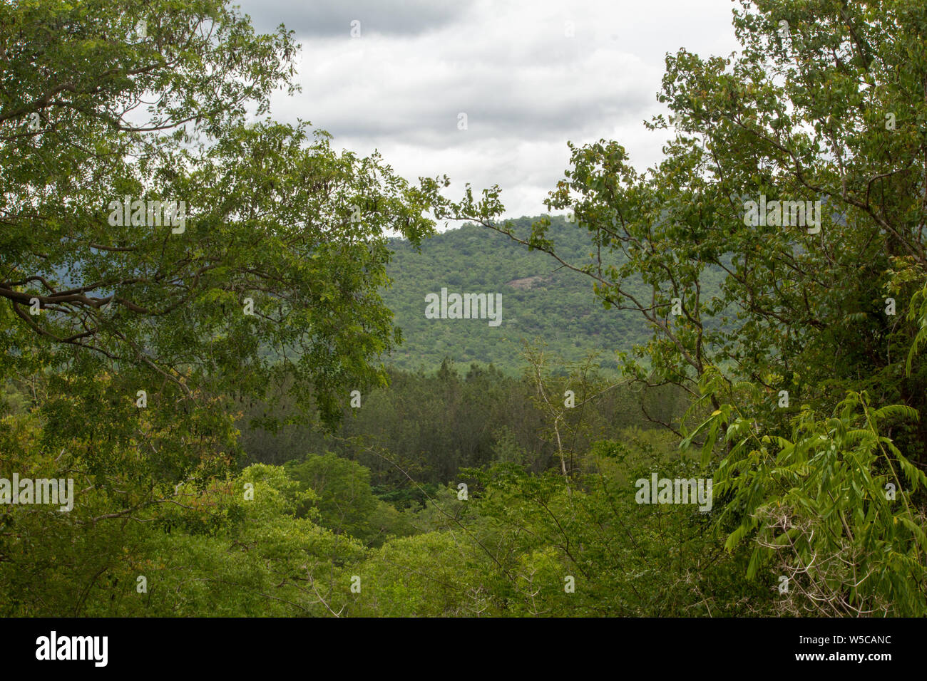 Beautiful view of the mountain range of Talamalai Reserve Forest, Hasanur, Tamil Nadu - Karnataka State border, India Stock Photo