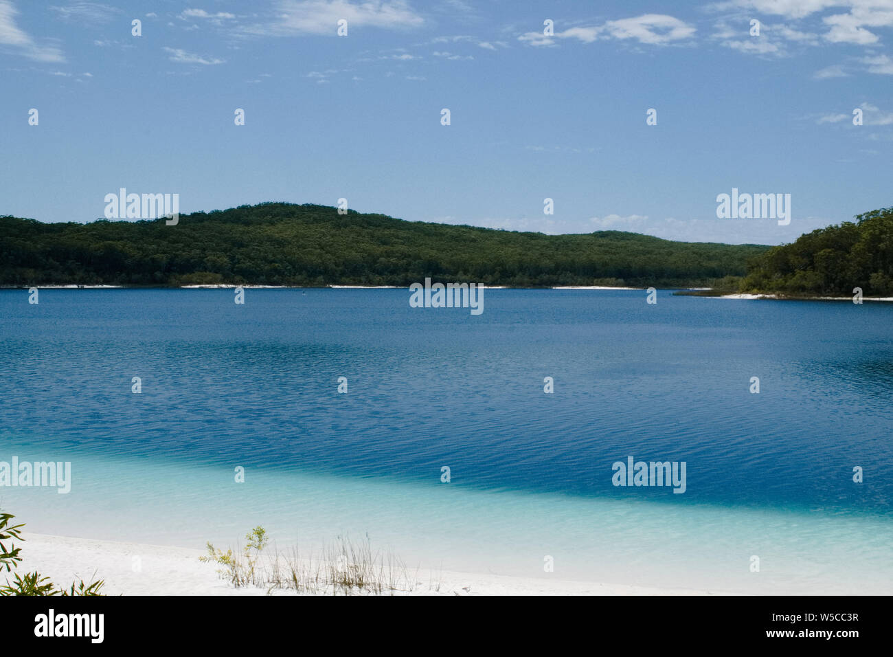 Lake Mackenzie on Fraser Island,Queensland is a freshwater lake popular with tourists Stock