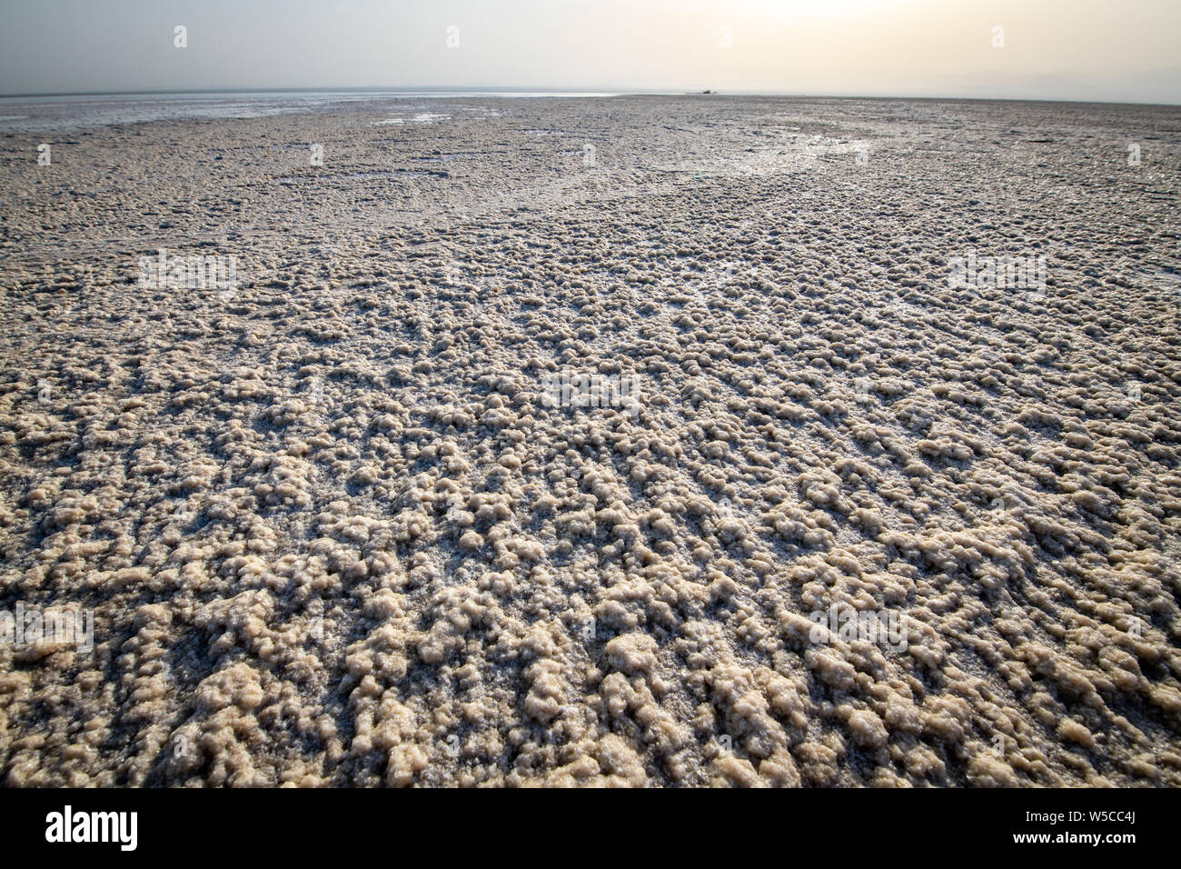 Salt flats in the Danakil Depression , Ethiopia Stock Photo - Alamy