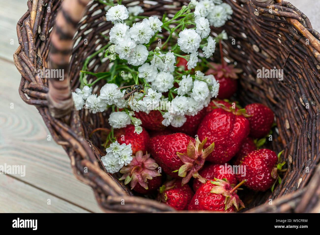 Close-Up strawberries in a basket. Summer food composition on a wooden table. Stock Photo