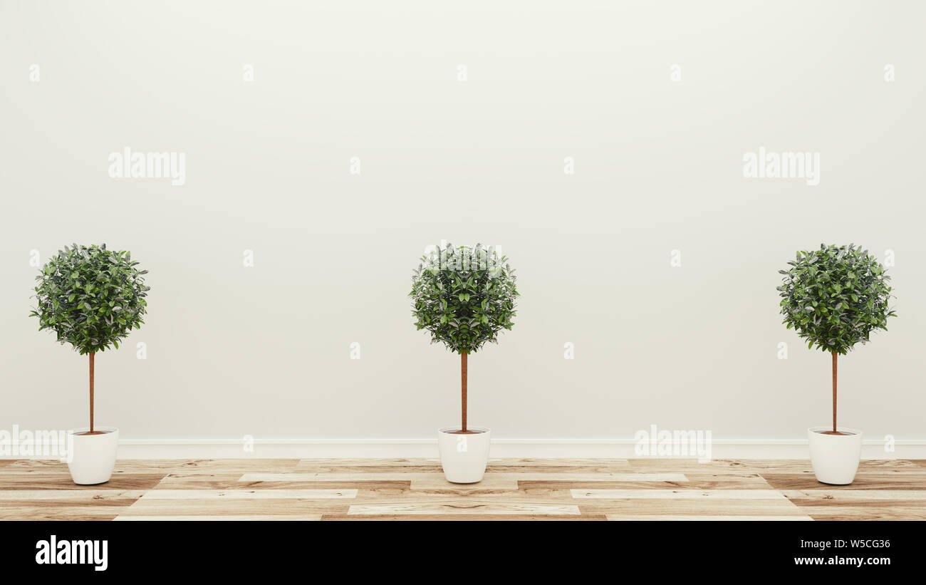 empty room,three plants,tropical modern empty room. 3D rendering Stock Photo