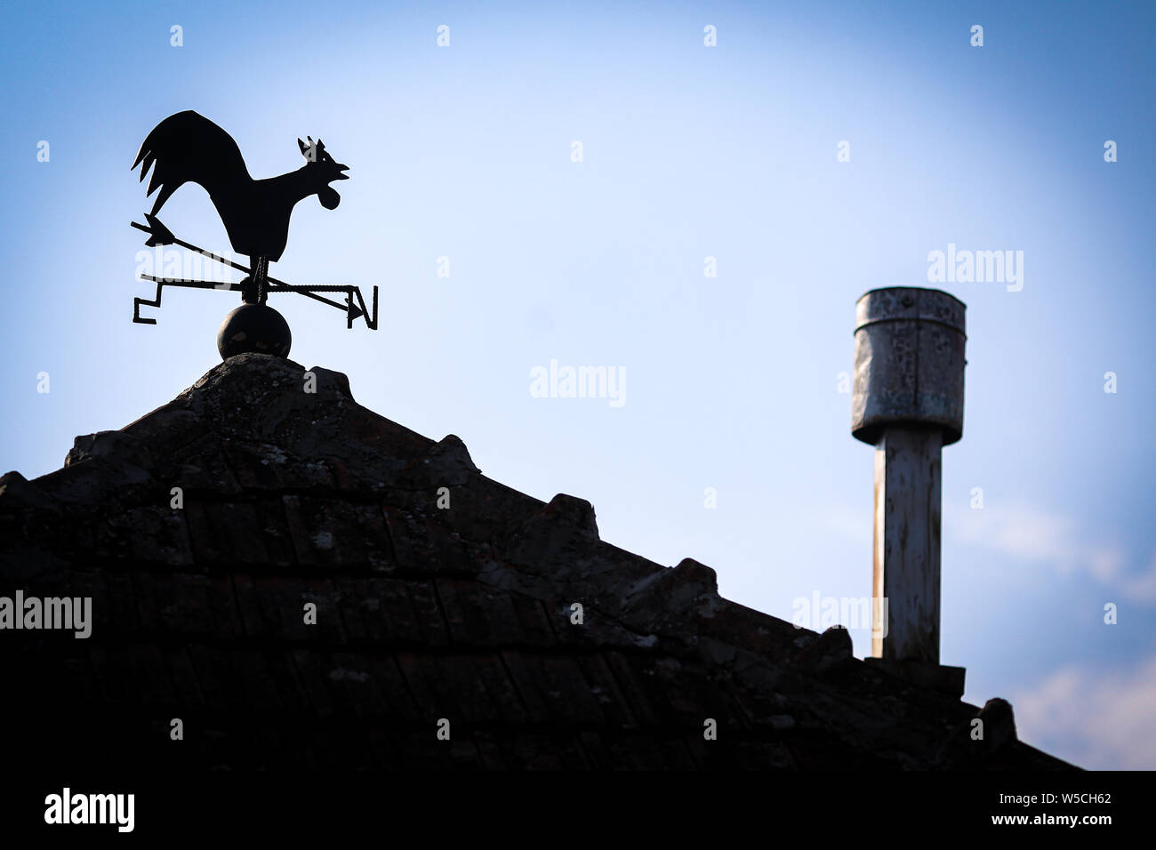 Weather vane weathervane which direction north south east west hires