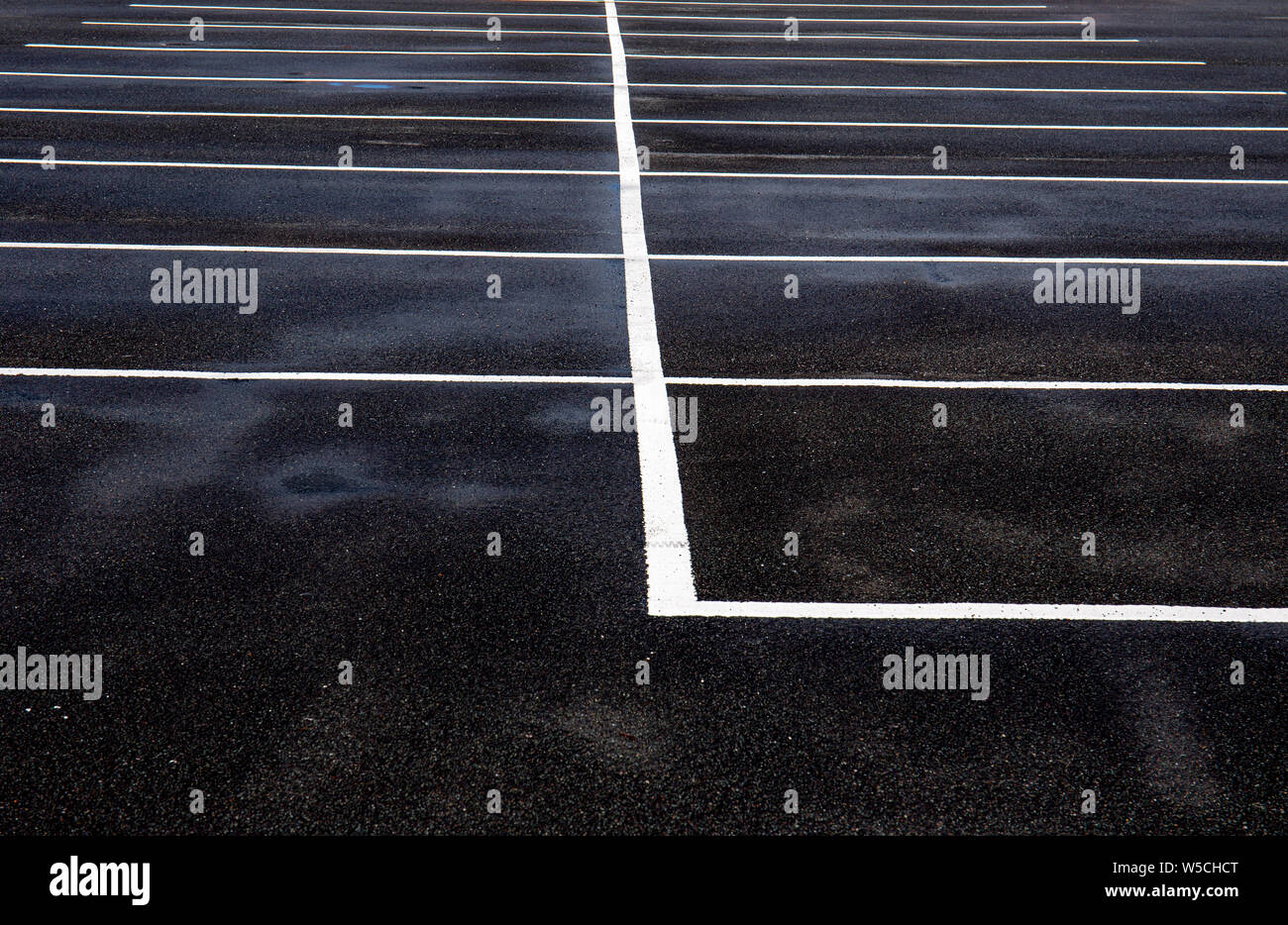 White lines painted on tarmac indicating parking spaces Stock Photo Alamy