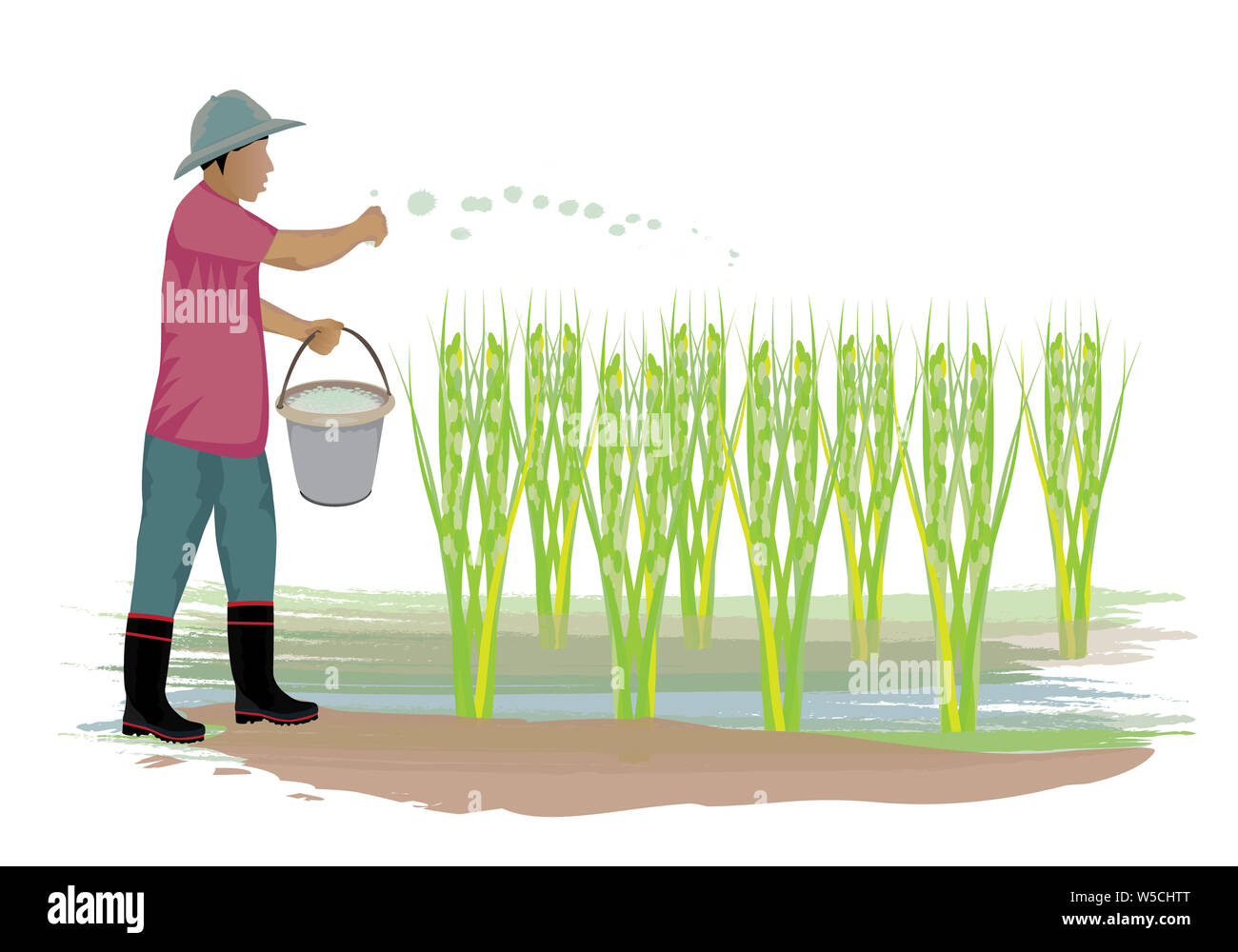 Farmer sow manure to rice plant vector design Stock Photo - Alamy