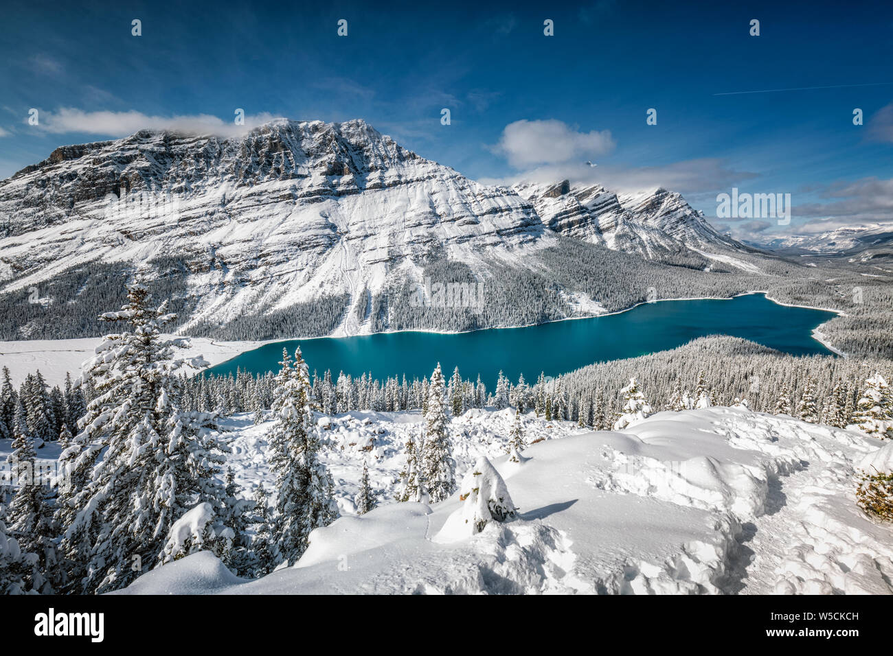 Peyto lake winter snow banff national park hi-res stock photography and ...