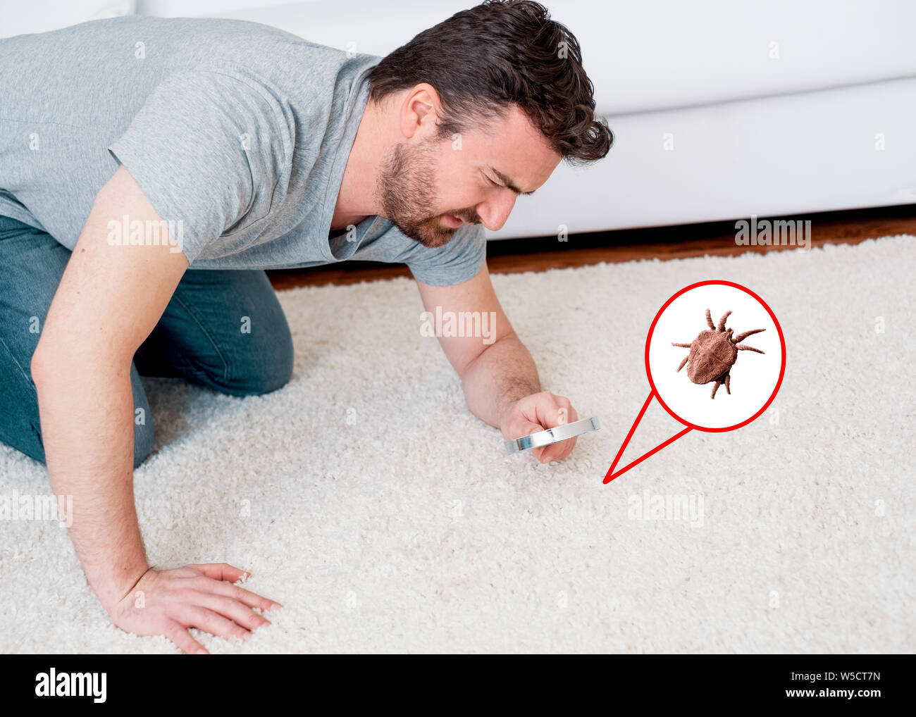 Man searching house dust mites and bug parasites Stock Photo