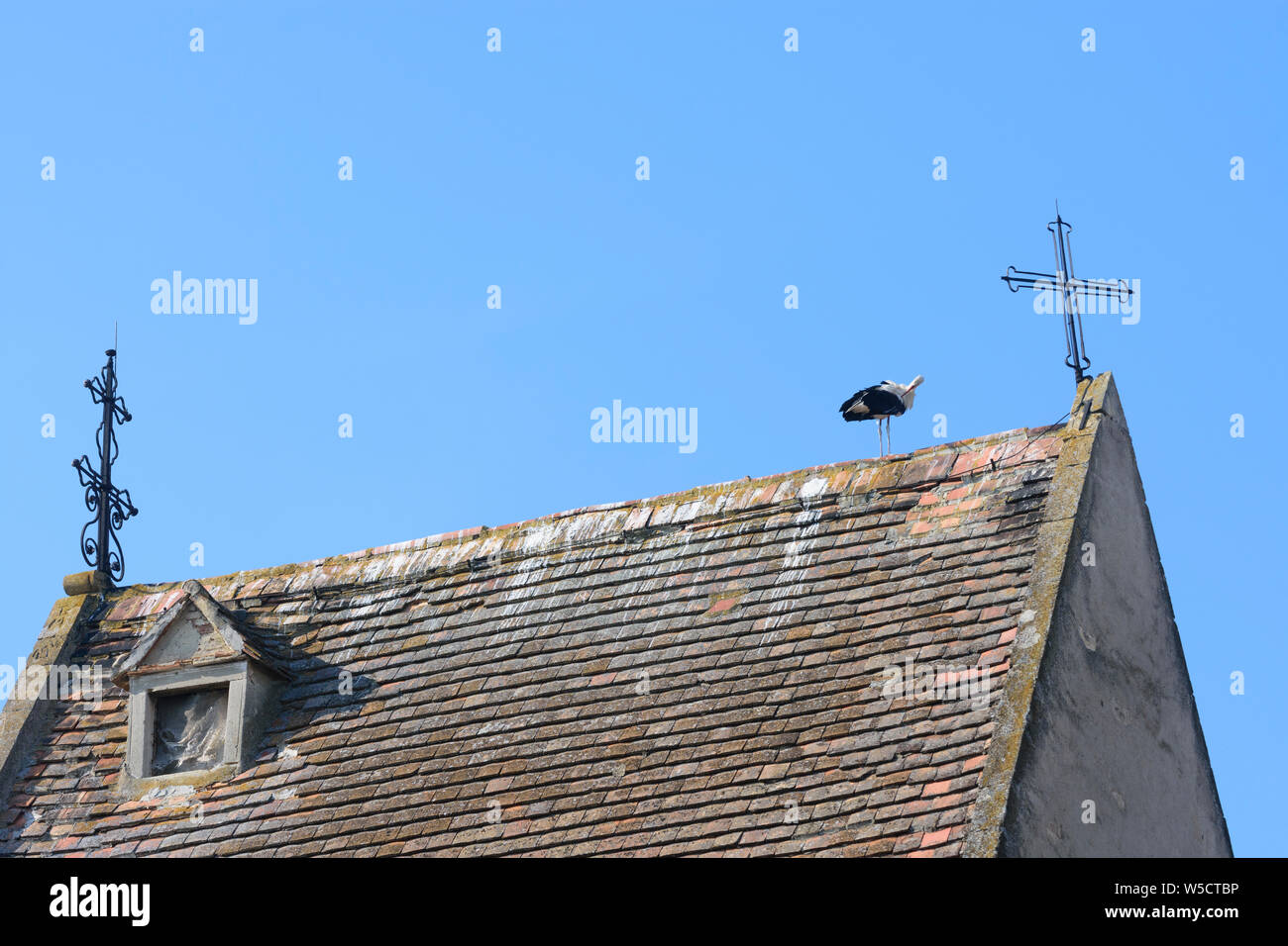 Rust: roof of Fischerkirche (Fisherman roof of church), white stork (Ciconia ciconia) in Neusiedler See (Lake Neusiedl), Burgenland, Austria Stock Photo