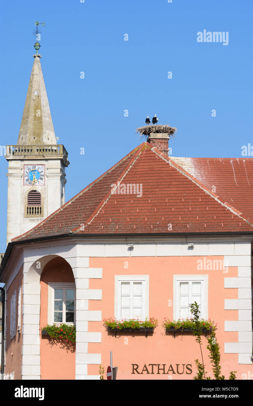Rust: Town Hall, nest of white stork (Ciconia ciconia), Catholic parish church in Neusiedler See (Lake Neusiedl), Burgenland, Austria Stock Photo
