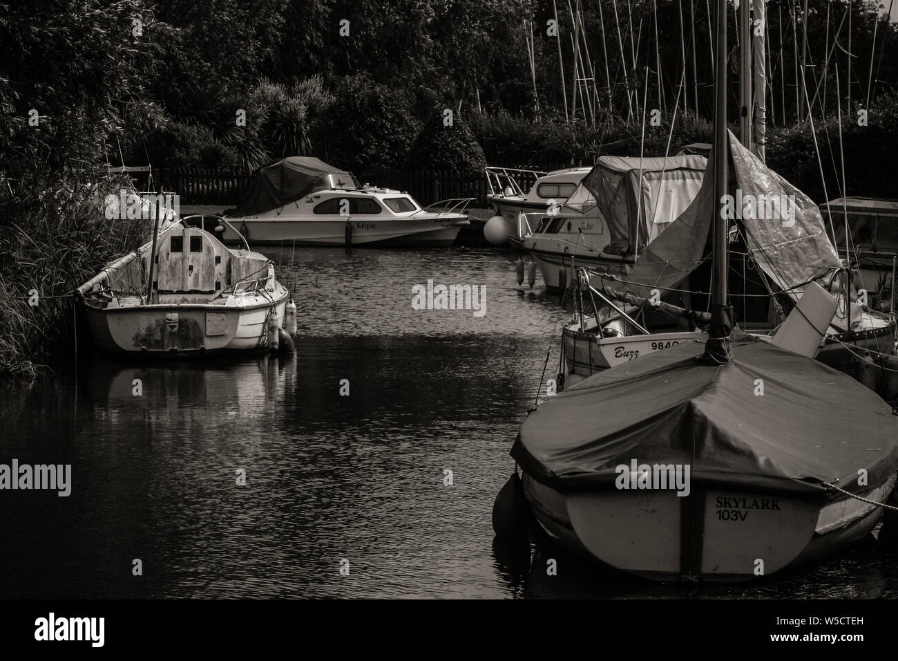 boats on the Norfolk Broads Stock Photo