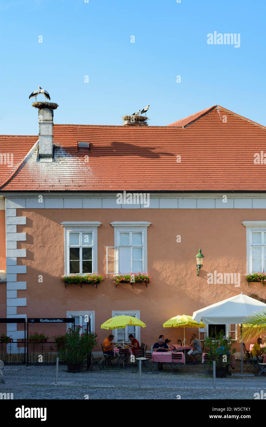 Rust: Town Hall, nest of white stork (Ciconia ciconia), restaurant in Neusiedler See (Lake Neusiedl), Burgenland, Austria Stock Photo