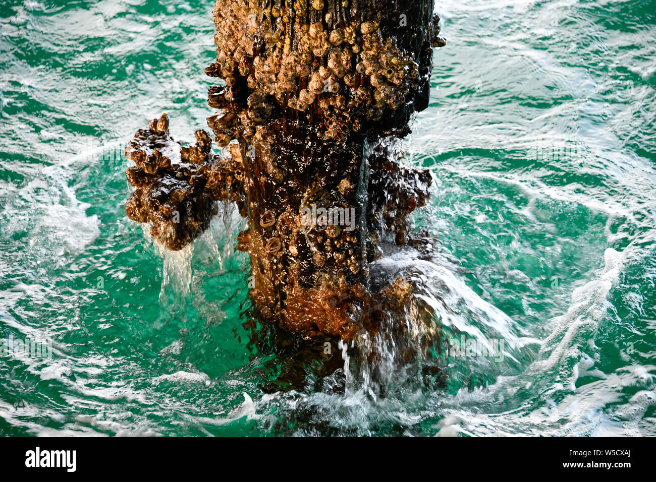 Busselton Jetty Pier Pile with Barnacles and Waves Splashing in afternoon sun, Western Australia Stock Photo