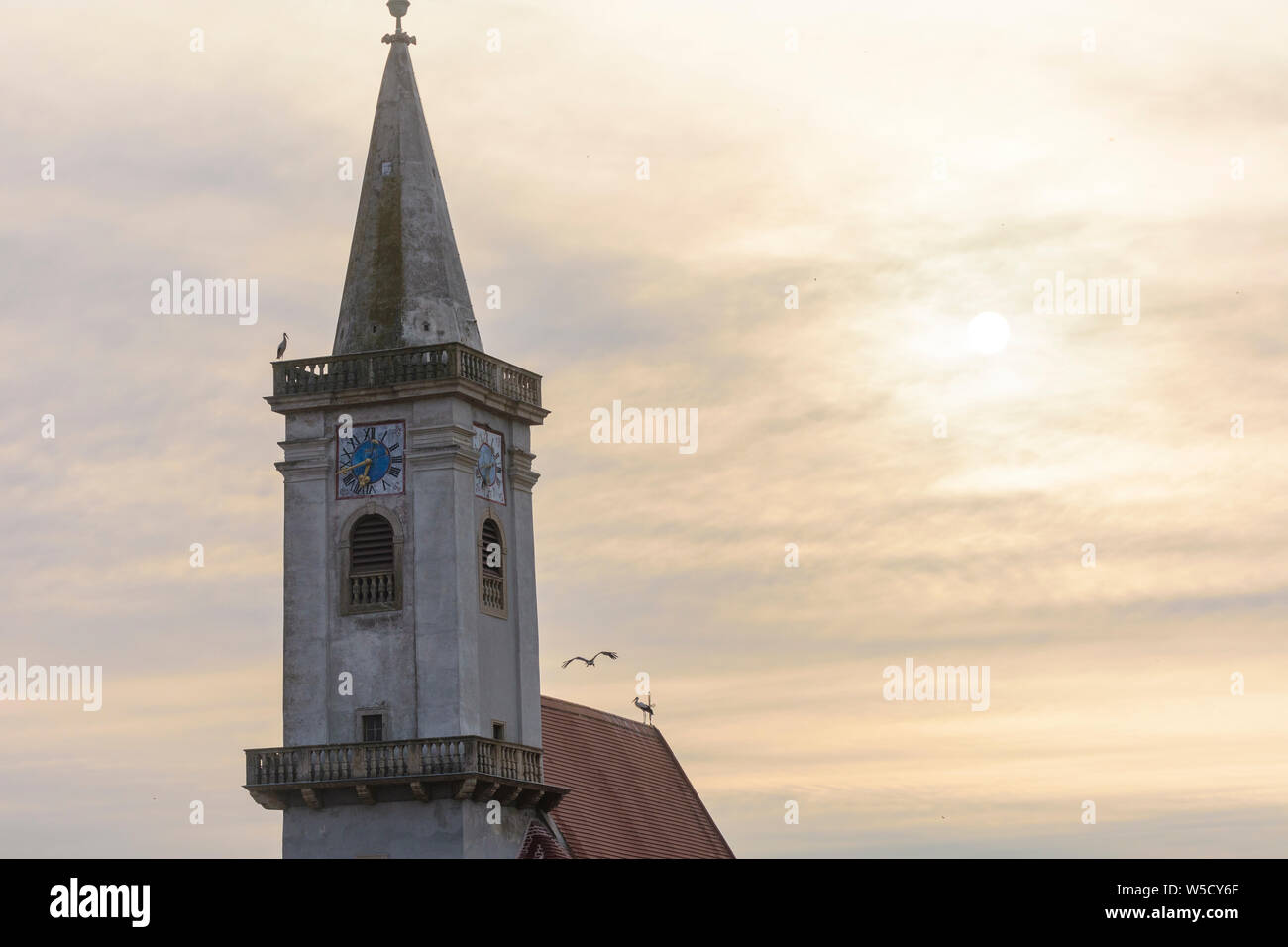 Rust: Catholic church, white stork (Ciconia ciconia) in Neusiedler See (Lake Neusiedl), Burgenland, Austria Stock Photo