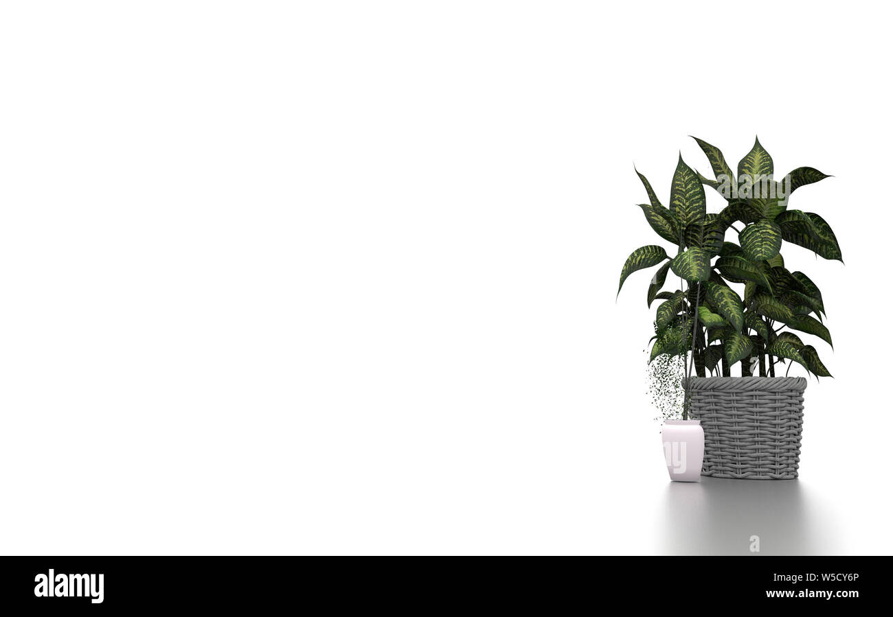 Green plants in white background. 3d rendering Stock Photo Alamy