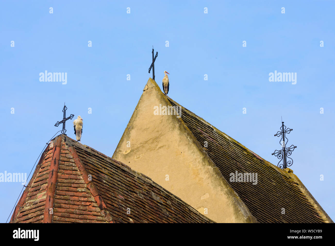 Rust: roof of Fischerkirche (Fisherman roof of church), white stork (Ciconia ciconia) in Neusiedler See (Lake Neusiedl), Burgenland, Austria Stock Photo