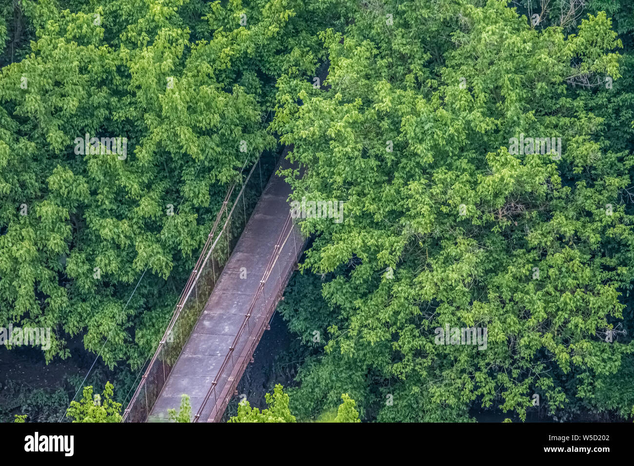 Forests surrounding Veliko Tarnovo, City of the Tsars, on the Yantra River, Bulgaria. It was the capital of the Second Bulgarian Kingdom Stock Photo