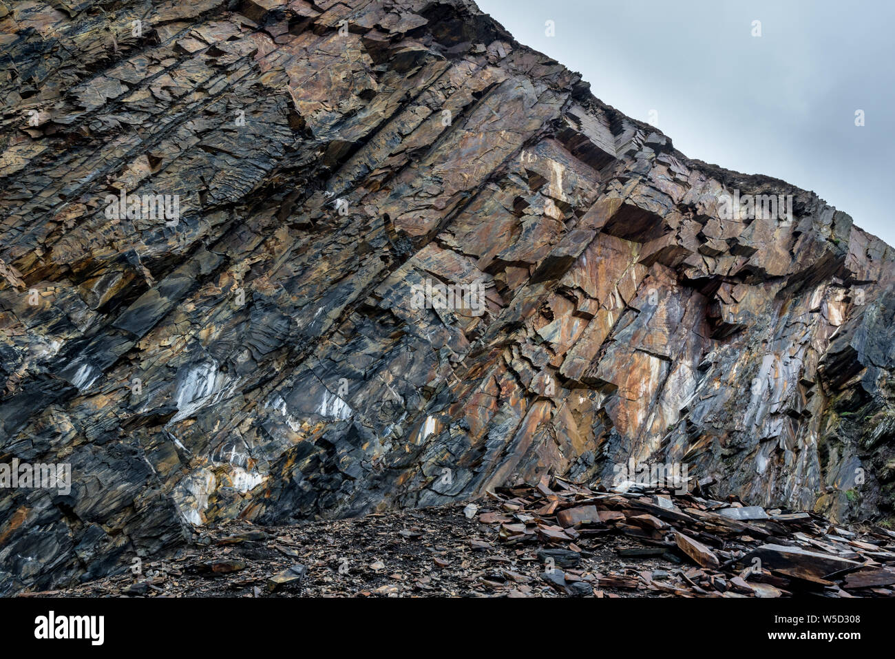 Polished Natural Metamorphic Rock Photo Slate 4X8IN