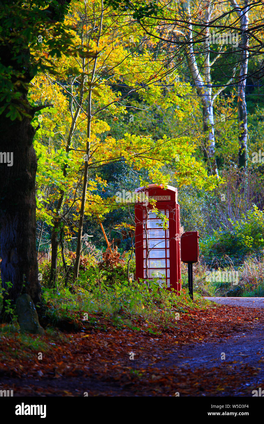 A traditional red British telephone kiosk and letter box in a Dorset country lane at East Creech in autumn Stock Photo