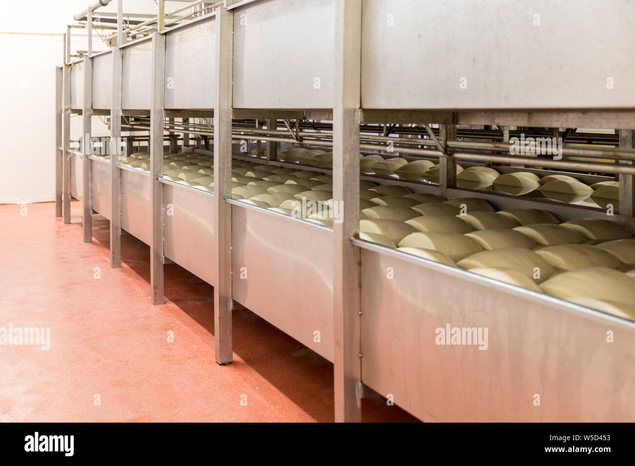 Salting parmesan in cheese factory in Italy Stock Photo Alamy