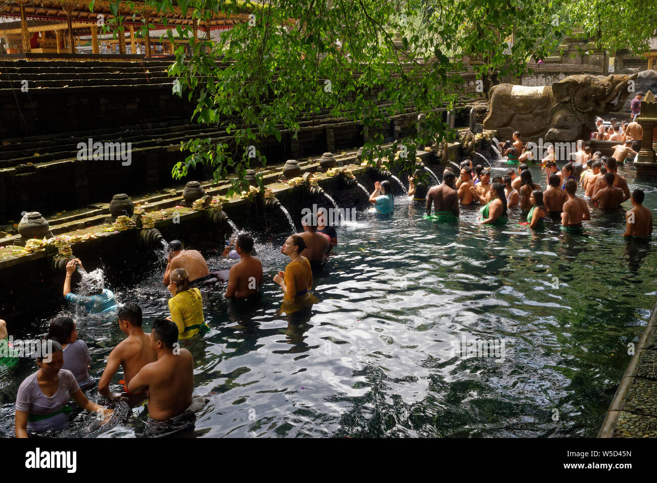 Devotees and tourists in the waters of the Tirtha Empul Templ,e or Holy Spring Water Temple, Bali, Indonesia Stock Photo