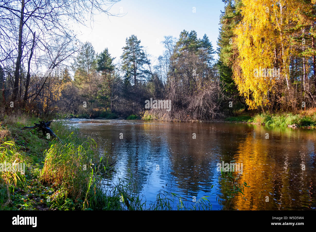 River bank at sunny autumn day. Beautiful landscape. Stock Photo