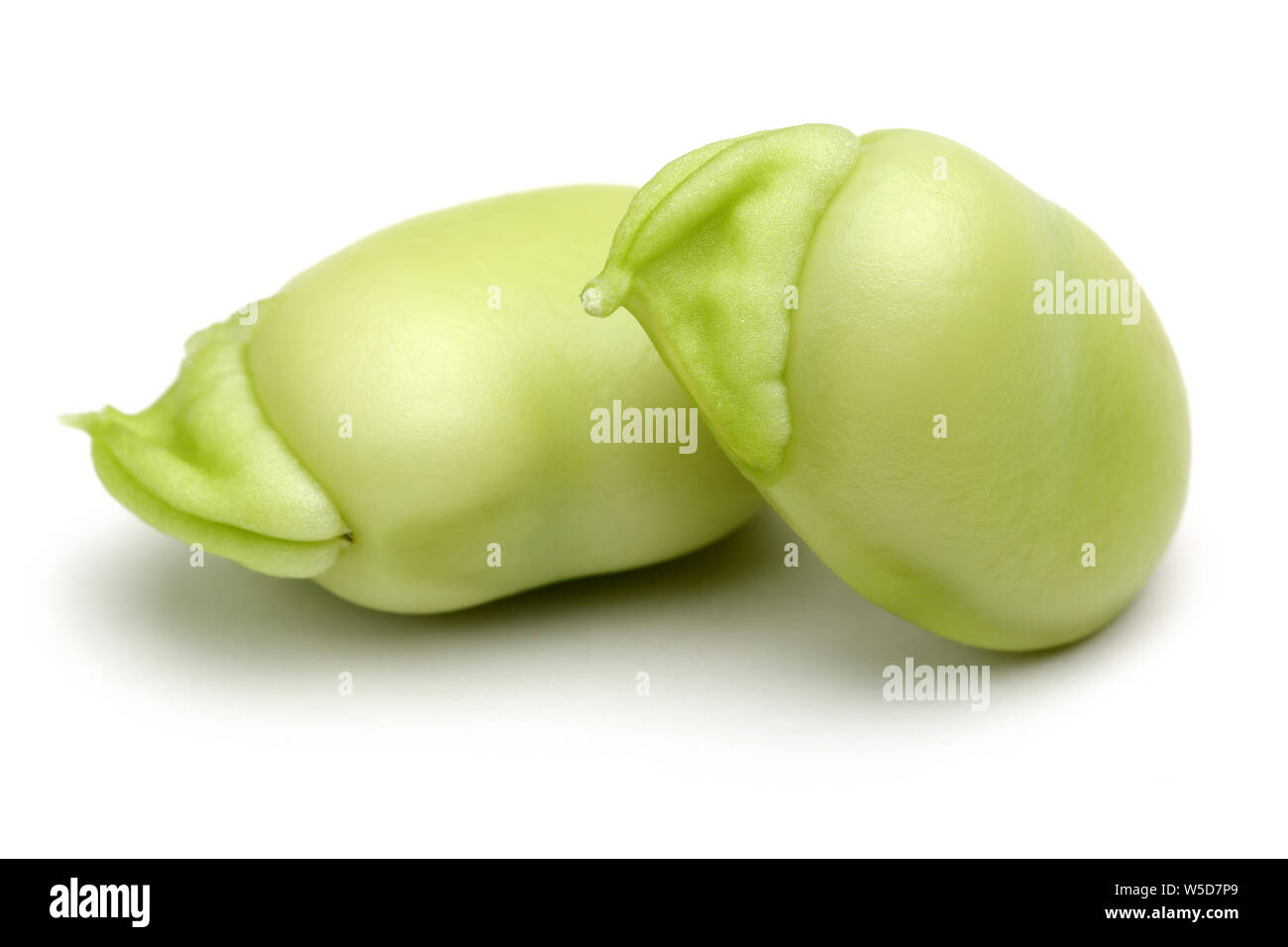 Green broad beans hi-res stock photography and images - Alamy