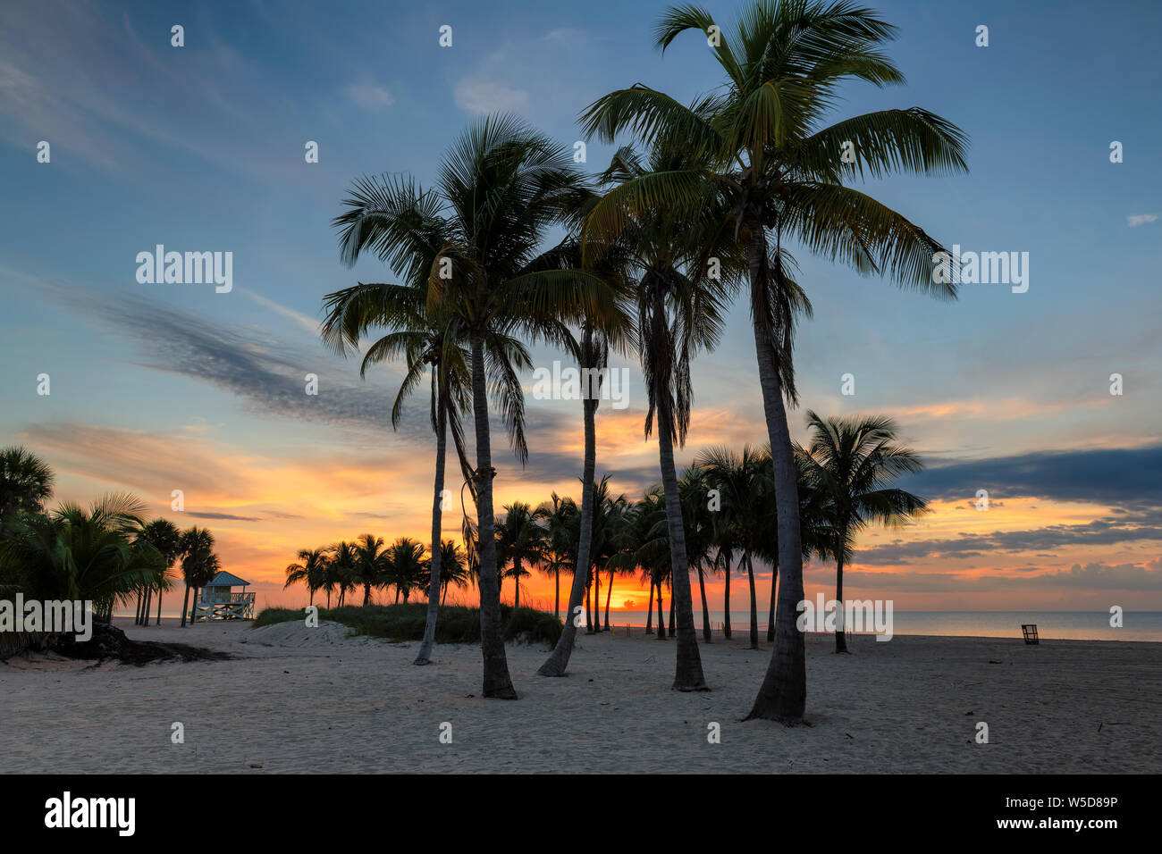 Sunrise at palm trees by the ocean beach in Key Biscayne, Florida Stock Photo