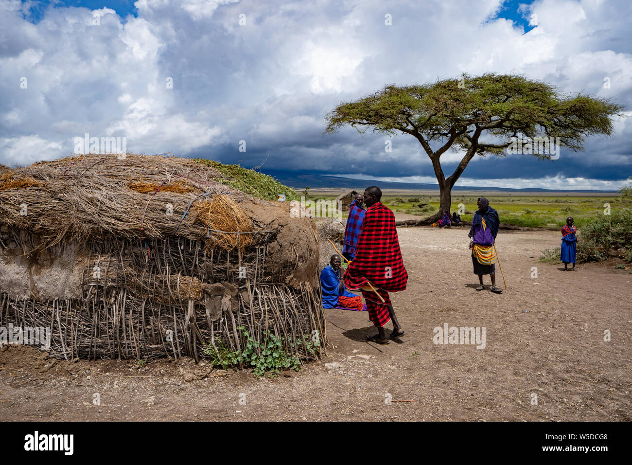 Acacia tree in a Masai Village. Maasai an ethnic group of semi-nomadic people. Photographed in Serengeti, Tanzania Stock Photo