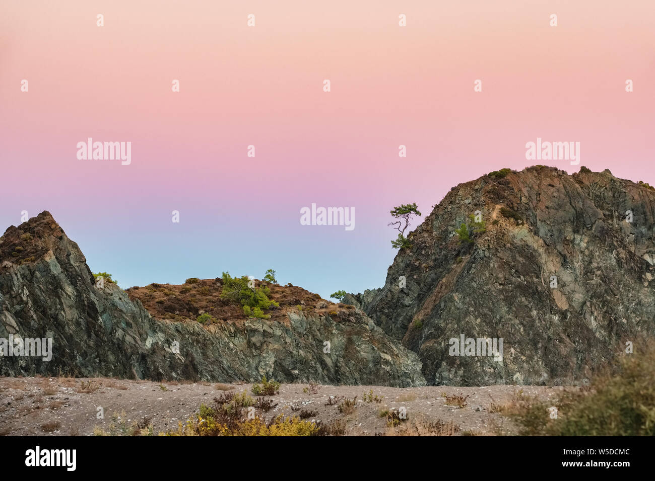 Pine tree silhouette hi-res stock photography and images - Alamy