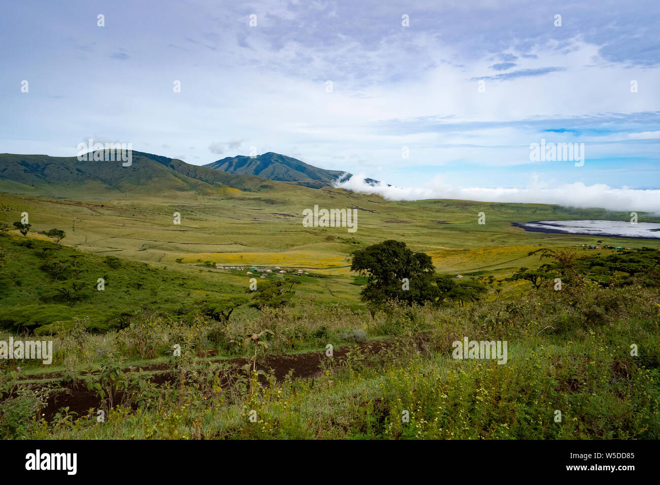 Ngorongoro Conservation Area, Tanzania. View of the crater Stock Photo