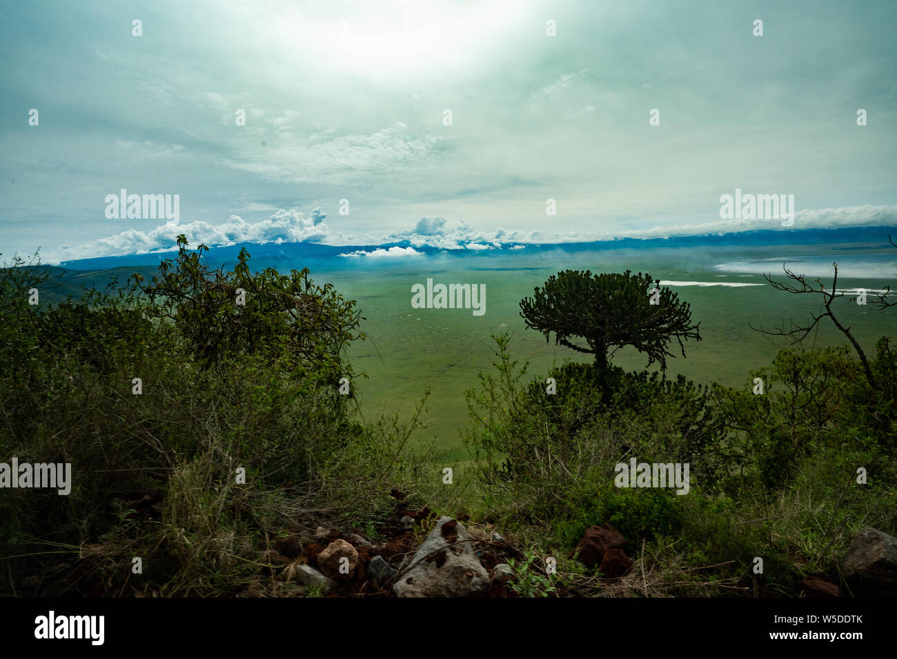 Ngorongoro Conservation Area, Tanzania. View of the crater Stock Photo