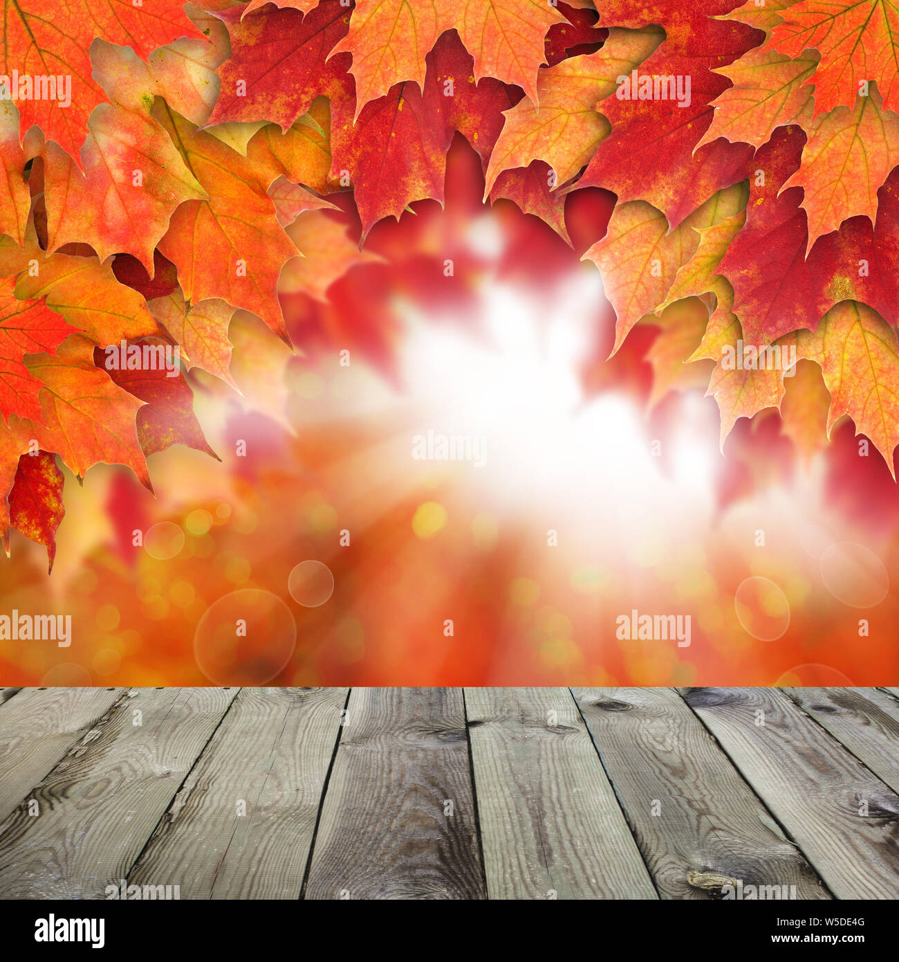 Fall background with red autumn maple leaves and abstract sun light ...