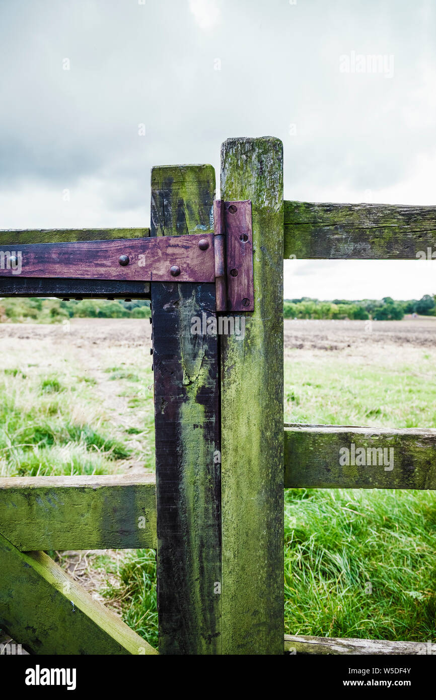 Old wooden gate with rusty hinge, leading to a field, near Consett, County Durham, England, UK Stock Photo