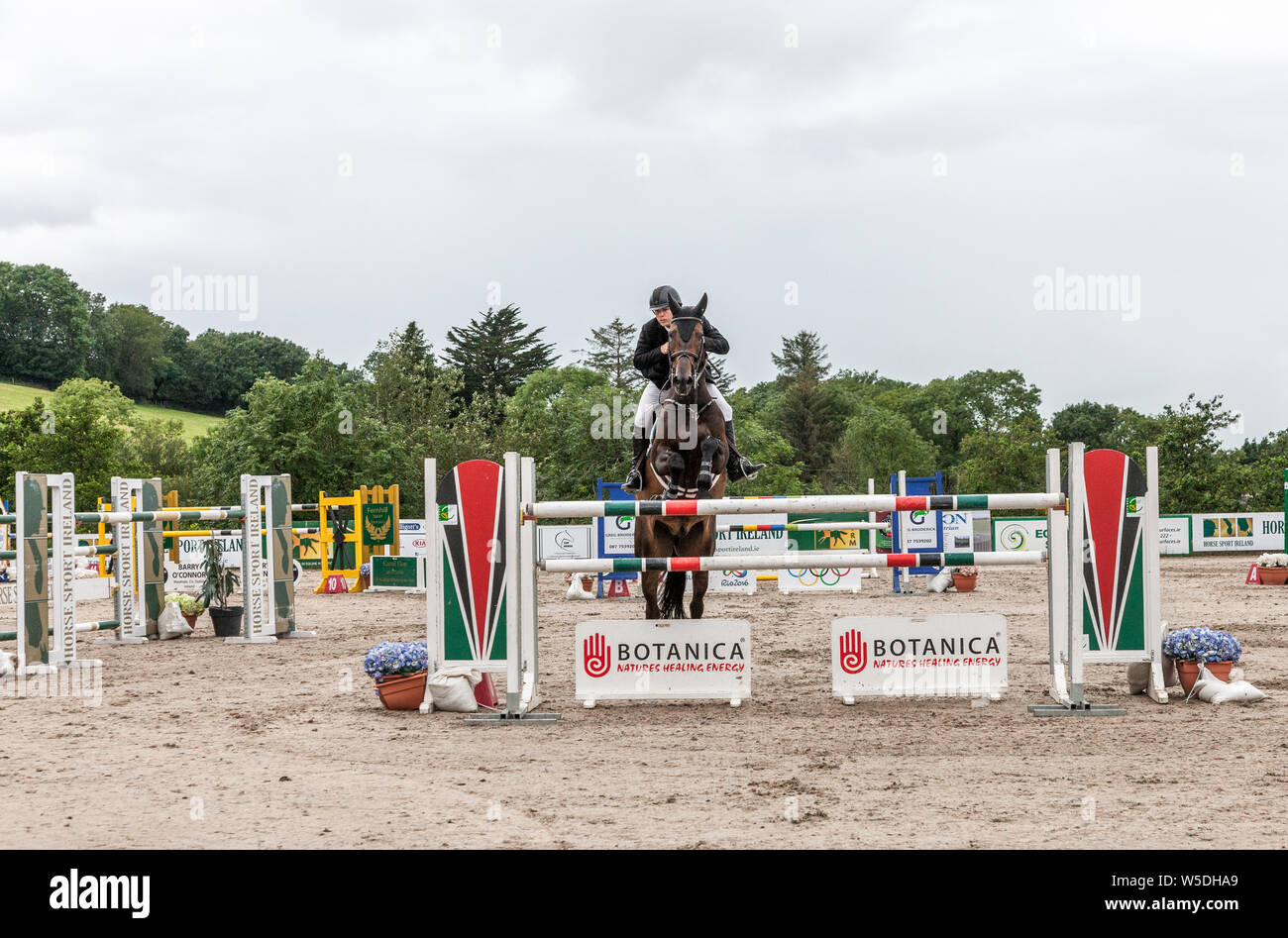 Carrigaline, Cork, Ireland. 28th July, 2019. Liam O'Meara on Oldtown Kc clears the a fence in the 1.5m New Height Champions Series during the Premier Grand Prix, 3-day event that was held at the Maryville Equestrian Centre in Carrigaline, Co. Cork, Ireland. Credit;  David Creedon / Alamy Live News Stock Photo