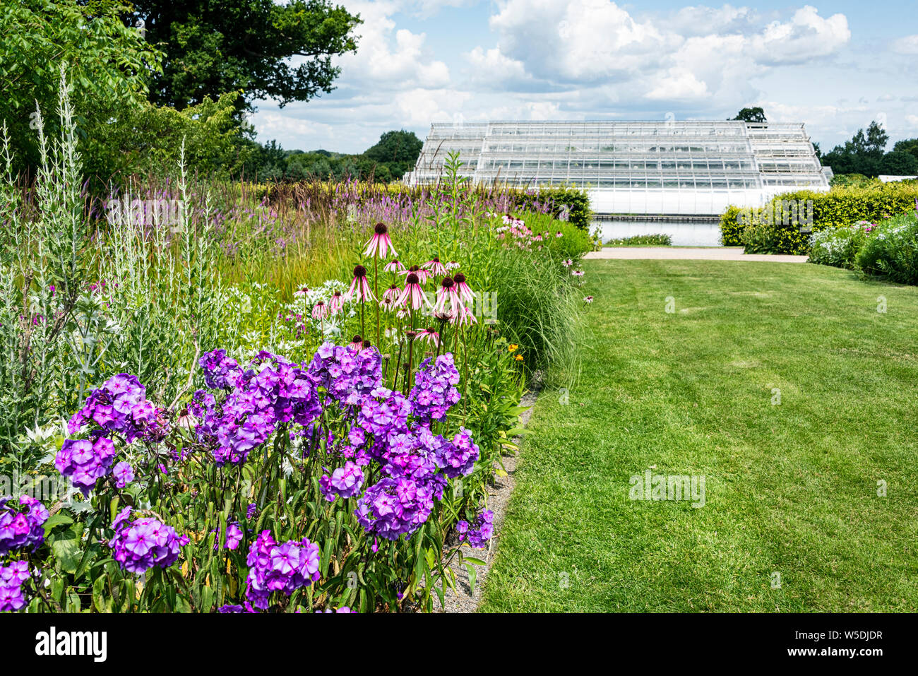 The Glasshouse at RHS Wisley. Mixed summer flower borders in the foreground. Stock Photo