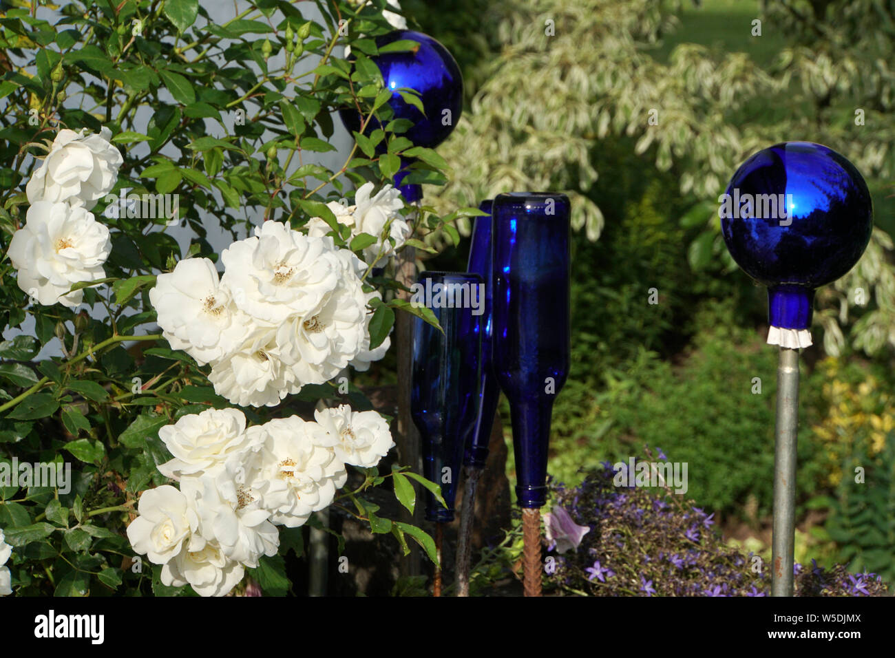 weisse Strauchrose mit blauer Gartendekoration aus Glas Stock Photo