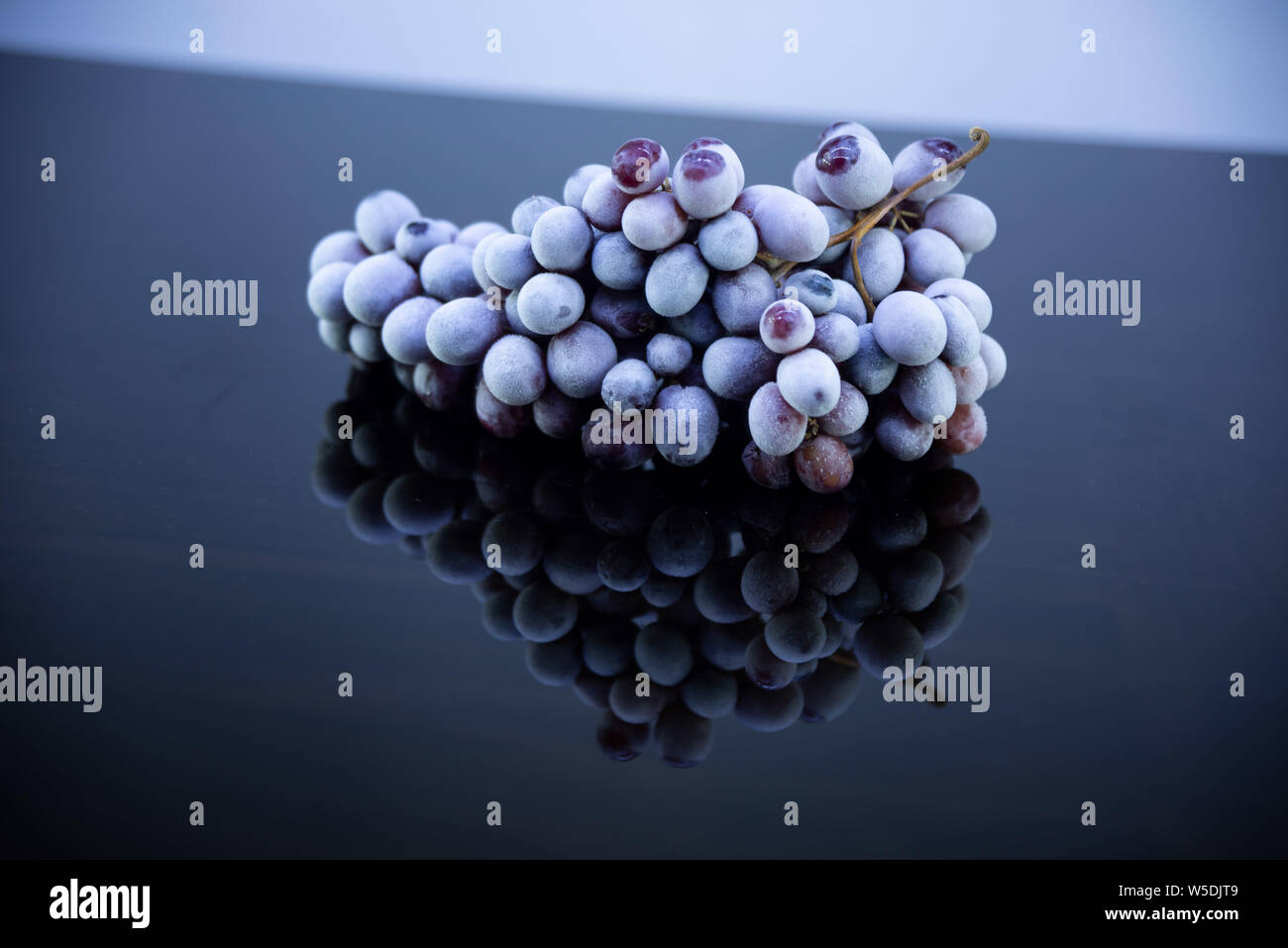 Feel cold with frozen Grapes Stock Photo
