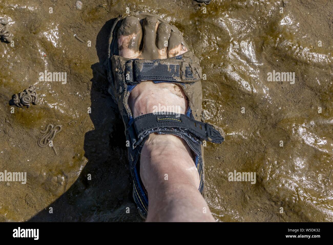 Muddy sandal hi-res stock photography and images - Alamy