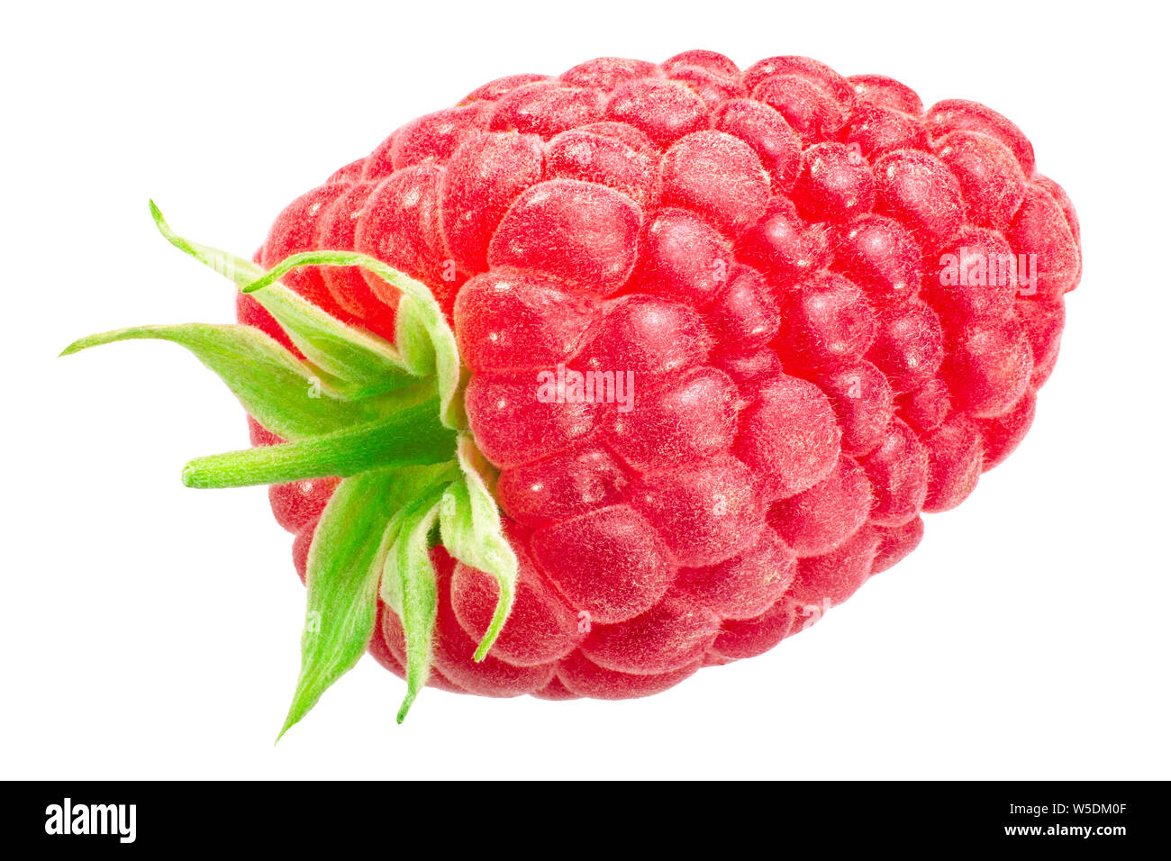 Single Raspberry (Rubus idaeus fruit), isolated Stock Photo - Alamy
