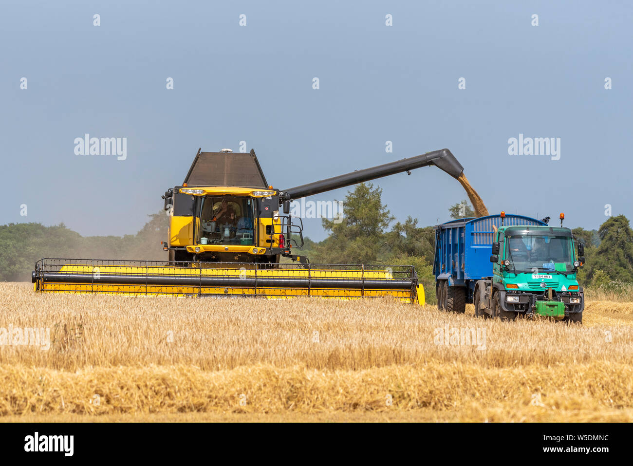Cheltenham, Gloucestershire, England, UK. Combine harvester offloading harvested Barley into a