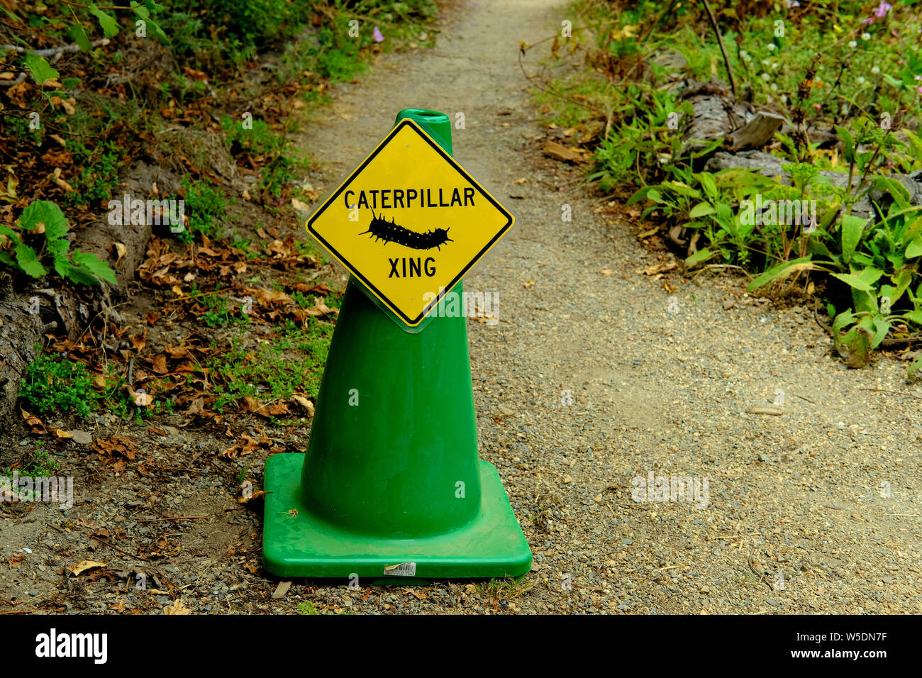 A Yellow Yield Sign On A Green Cone For A Caterpillar Crossing On A Dirt Path At The San Francisco Botanical Garden In San Francisco California Usa Stock Photo Alamy