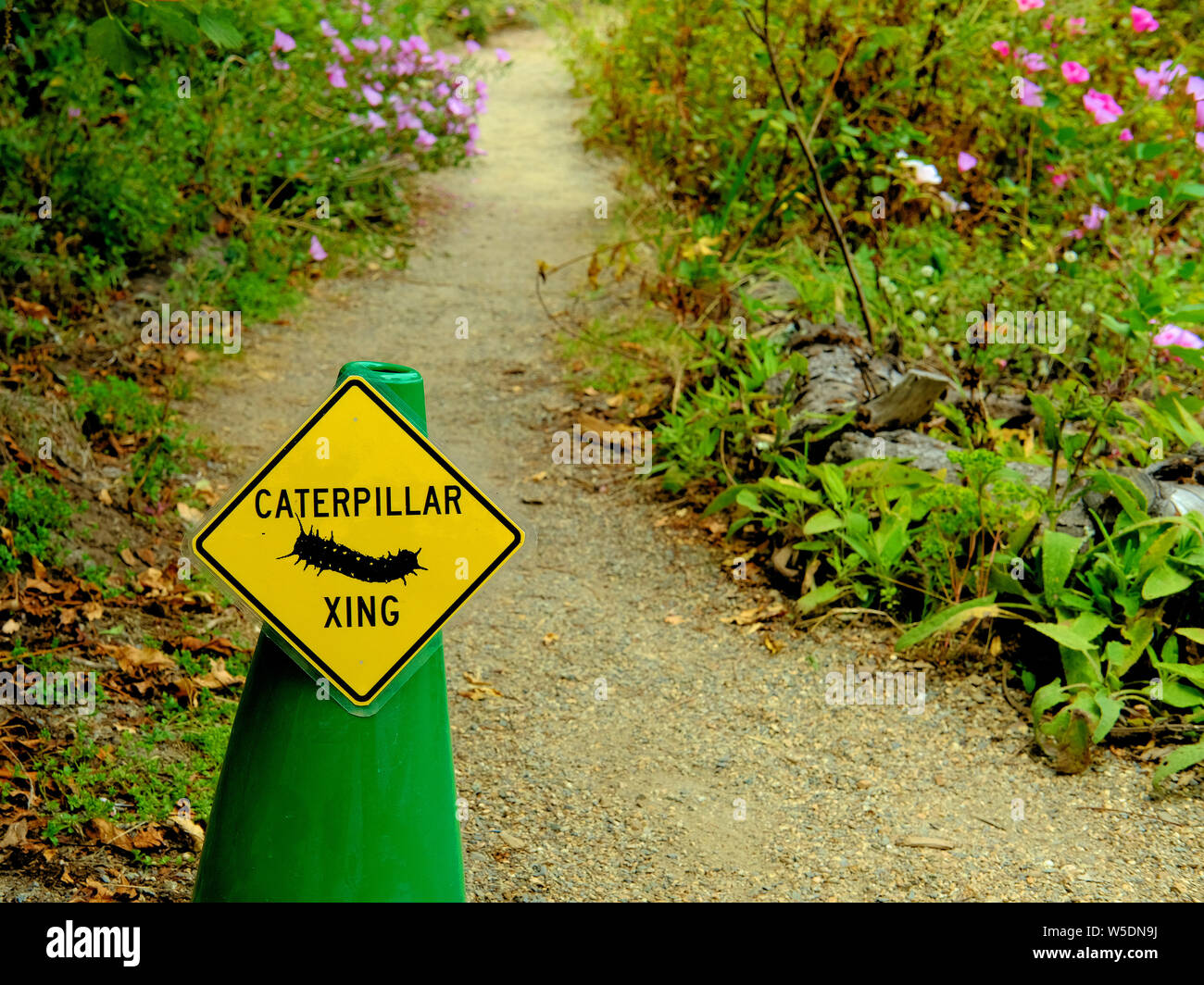 A Yellow Yield Sign On A Green Cone For A Caterpillar Crossing On A Dirt Path At The San Francisco Botanical Garden In San Francisco California Usa Stock Photo Alamy