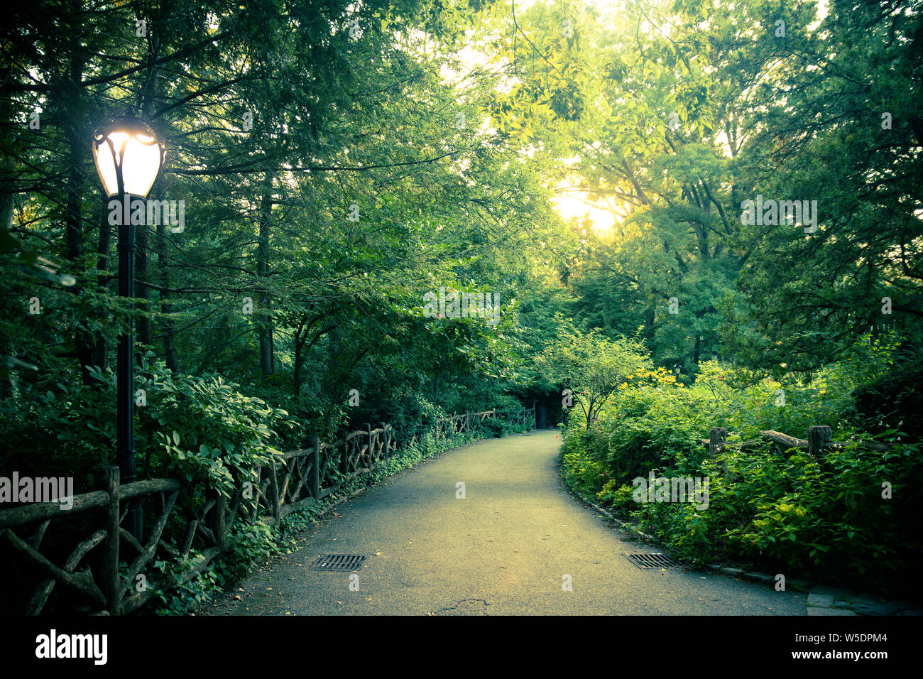 Nyc landscape hi-res stock photography and images - Alamy