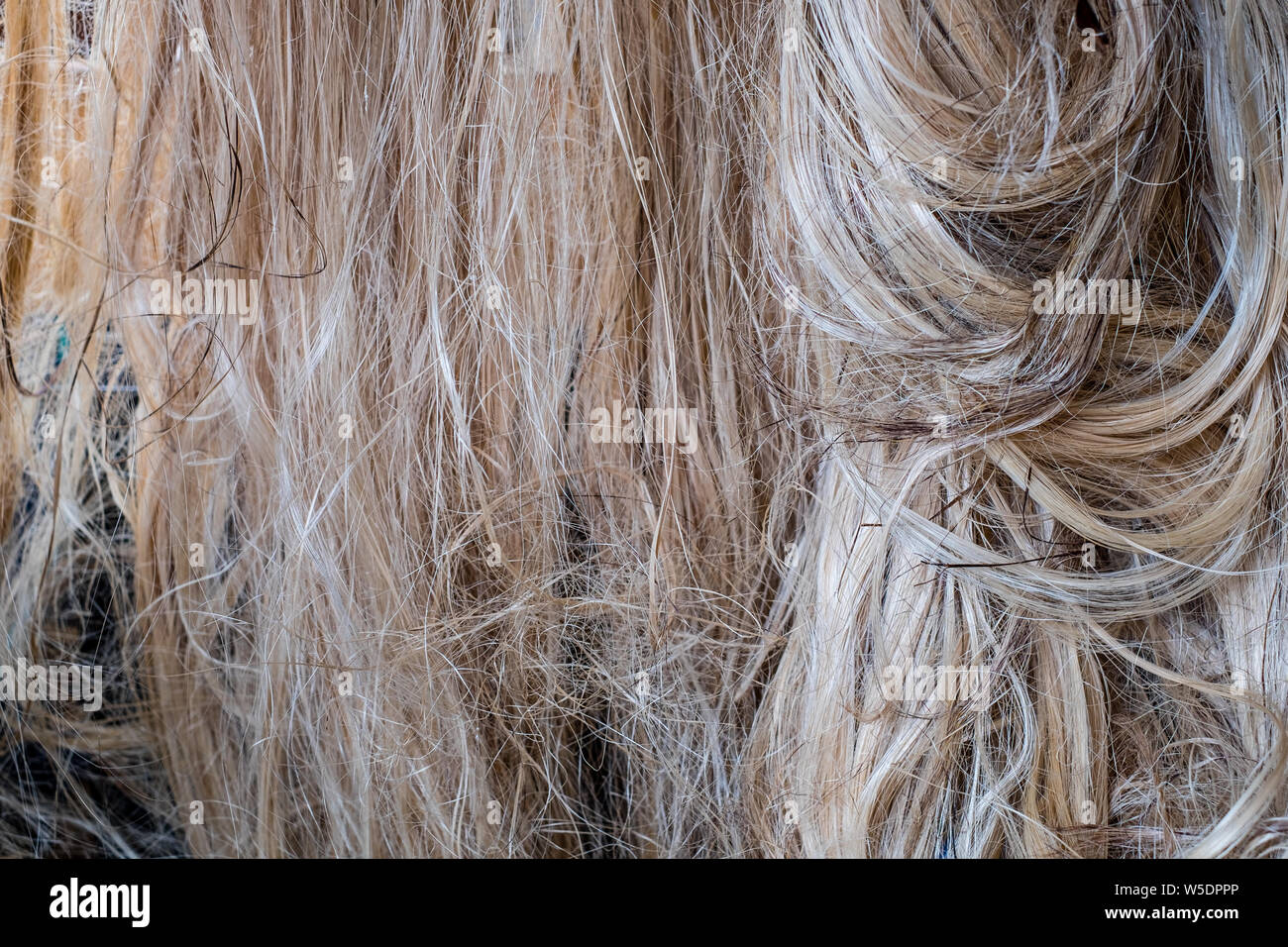 Barong tagalog hires stock photography and images Alamy