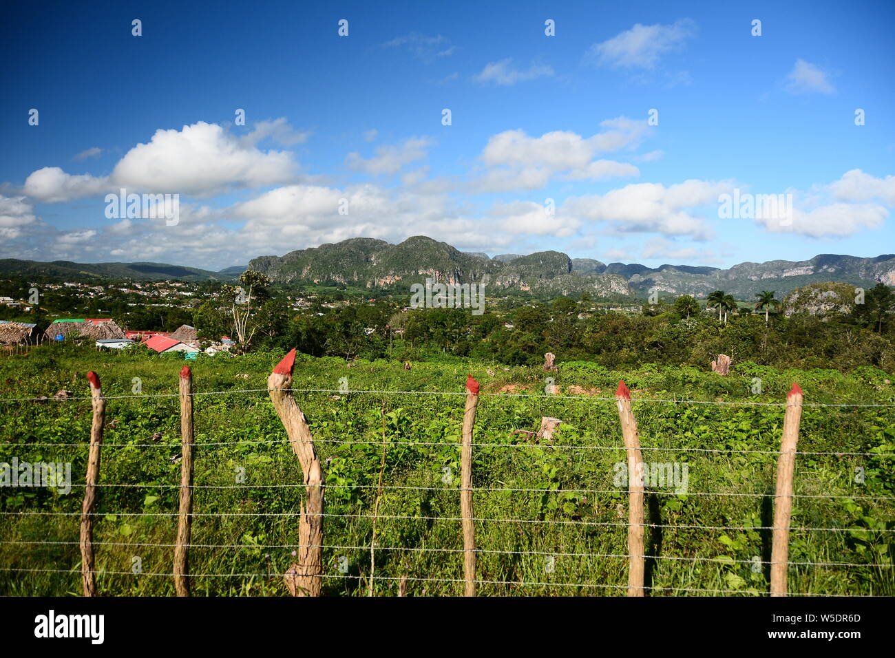 Landscape Viñales Valley Stock Photo