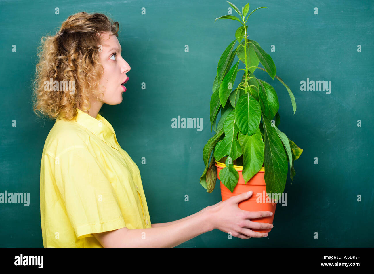 Florist concept. Botany and biology lesson. Botany education. Botanical ...