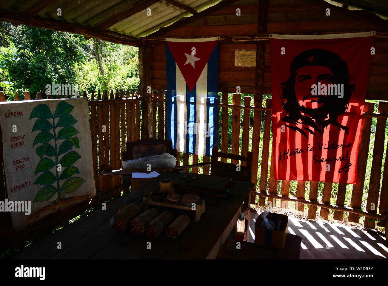 Production of cigars in Cuba, Viñales in the Pinar del Río Province. Stock Photo