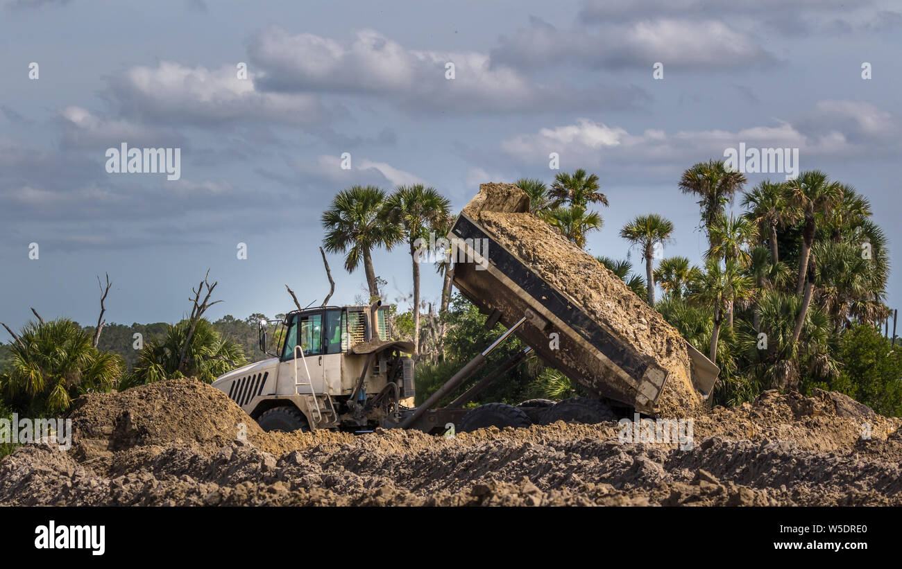 Construction Vehicle Dump Truck dumps load of dirt in a Florida swamp
